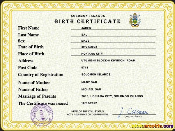 Professional Solomon Vital Record Birth Certificate PSD Template