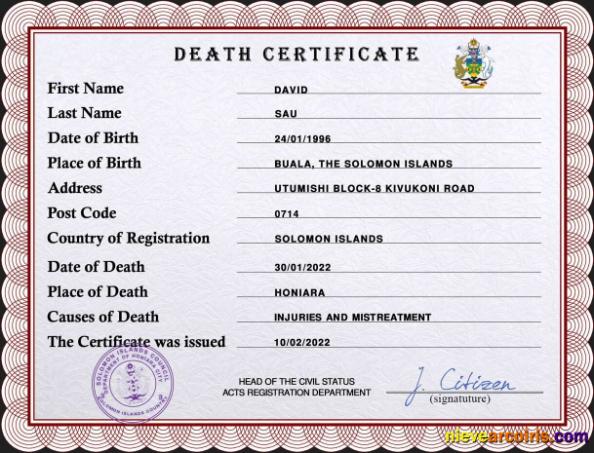 Professional Solomon Vital Record Death Certificate PSD Template