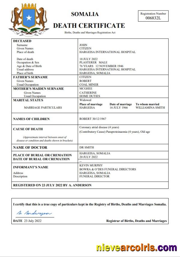 Realistic Somalia Vital Record Death Certificate Word And PDF Template
