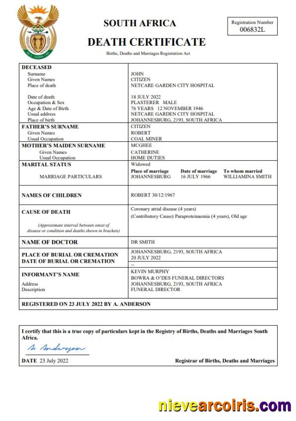 Editable South Africa Death Certificate Word And PDF Template