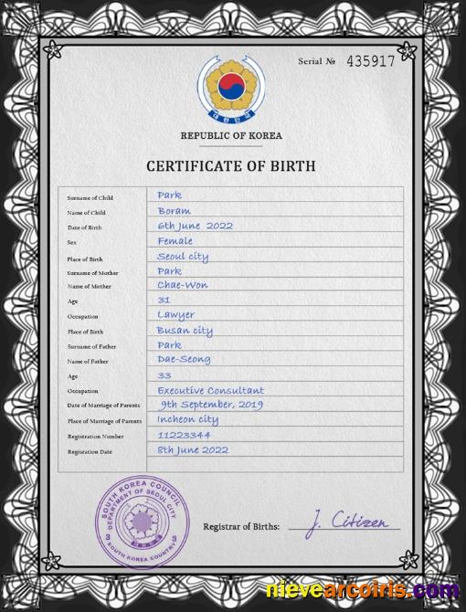 Premium South Korea Birth Certificate PSD Template