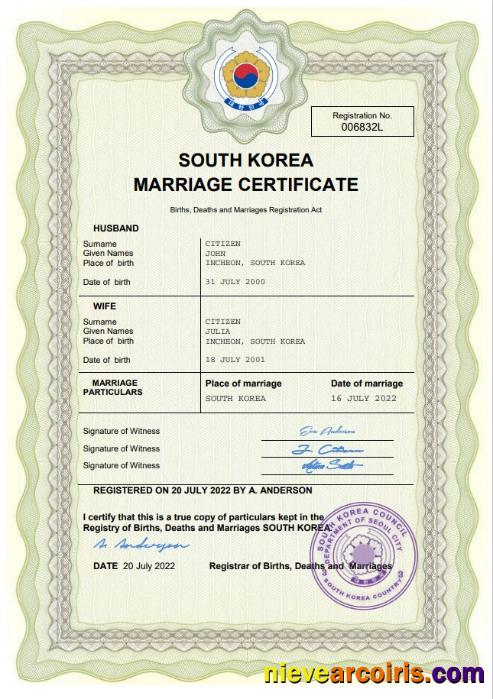 Realistic South Korea Marriage Certificate Word And PDF Template