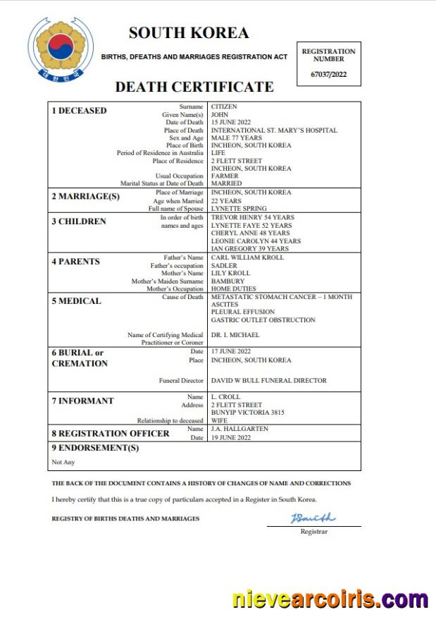 Professional South Korea Vital Record Death Certificate Word And PDF Template