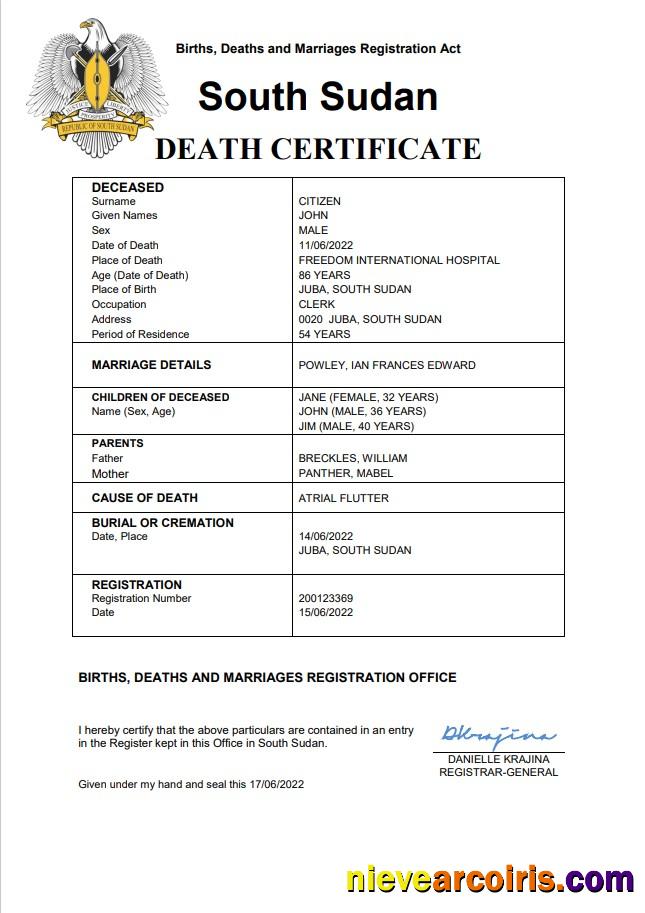 Editable South Sudan Vital Record Death Certificate Word And PDF Template