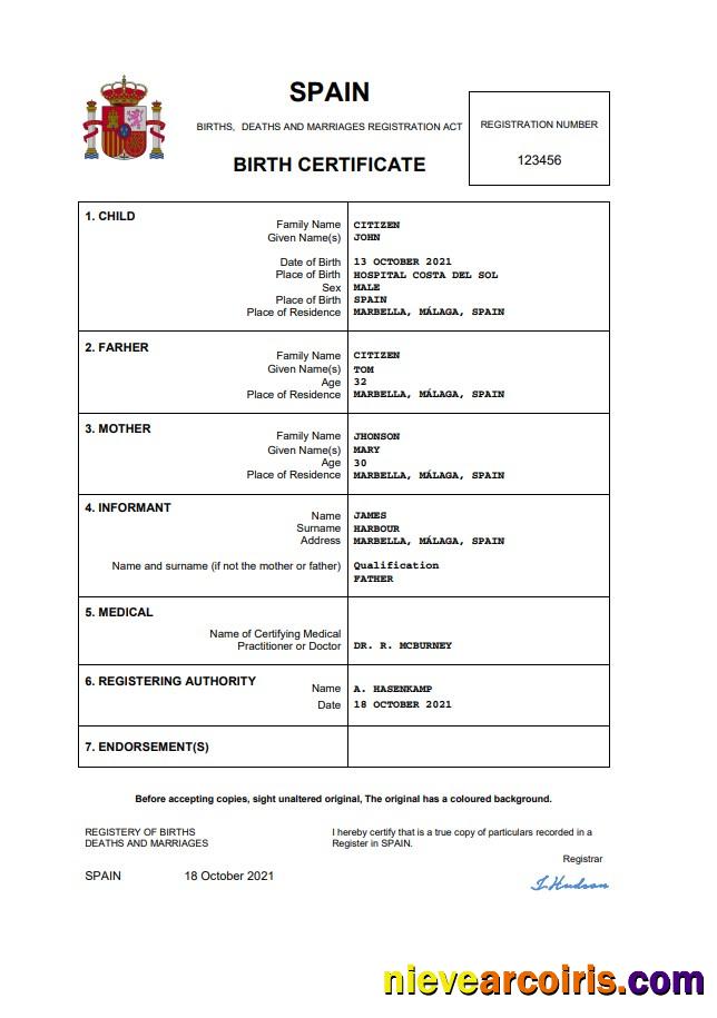 Realistic Spain Birth Certificate Word And PDF Template