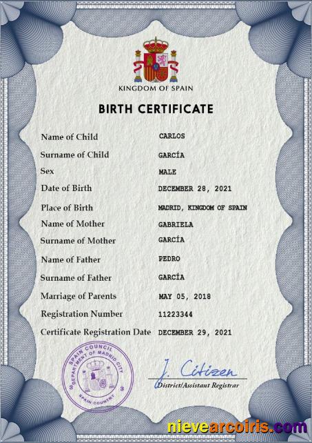 Editable Spain Vital Record Birth Certificate PSD Template, Fully Editable