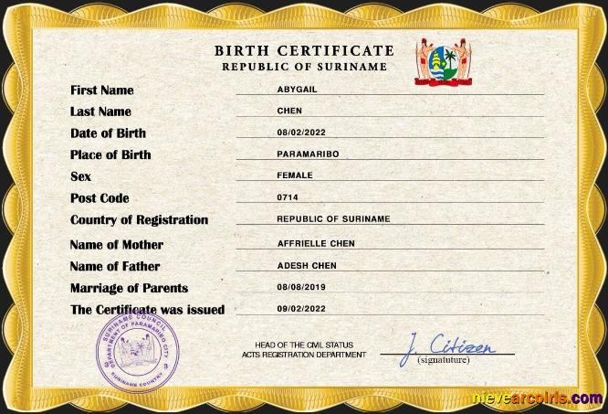 Realistic Suriname Birth Certificate PSD Template