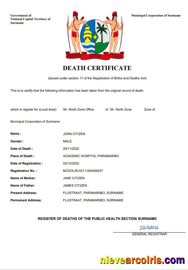 Editable Suriname Death Certificate Word And PDF Template