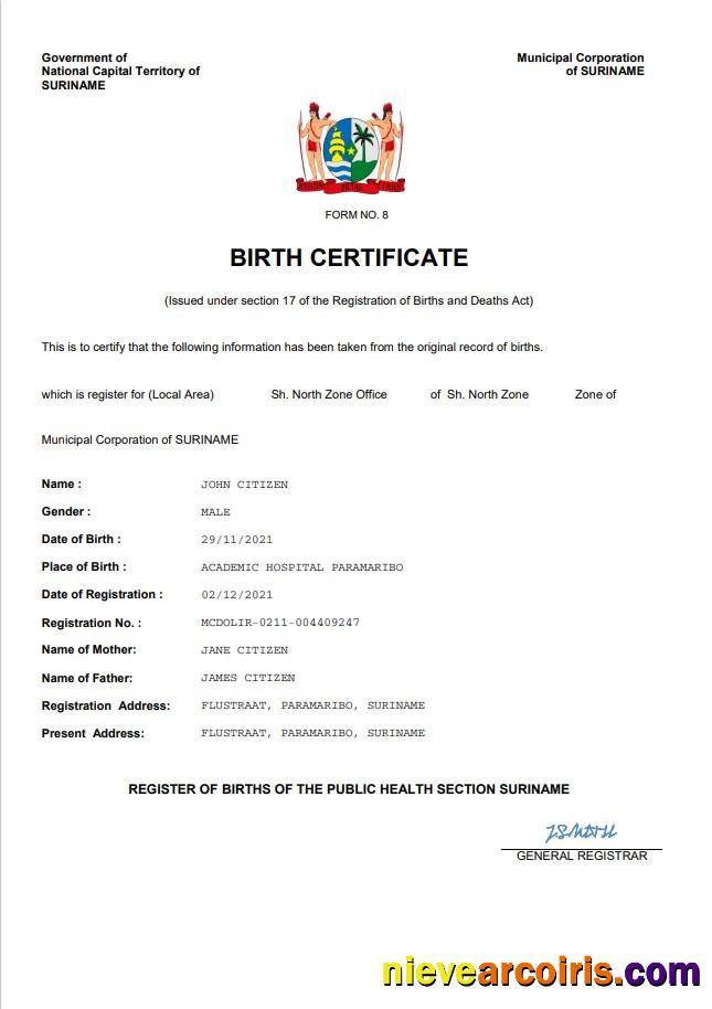 Editable Suriname Vital Record Birth Certificate Word And PDF Template