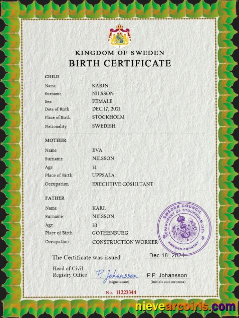 Professional Sweden Vital Record Birth Certificate PSD Template, Fully Editable