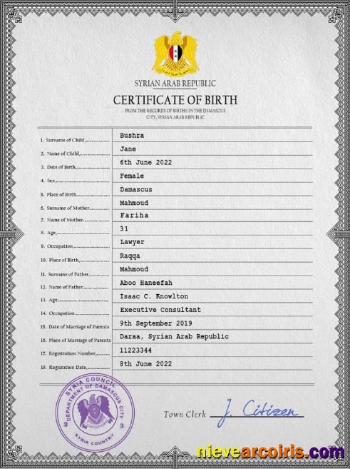 Realistic Syria Birth Certificate PSD Template