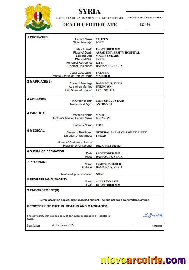 Professional Syria Vital Record Death Certificate Word And PDF Template