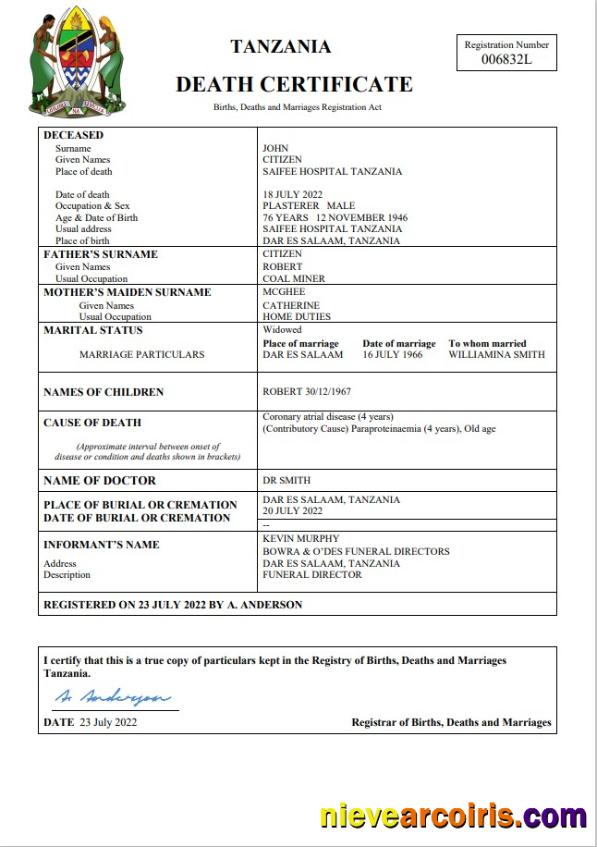 Realistic Tanzania Vital Record Death Certificate Word And PDF Template
