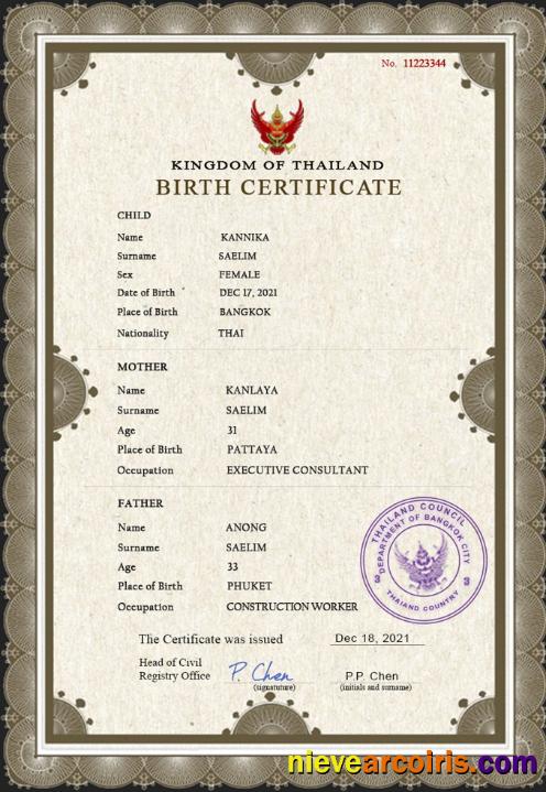 Professional Thailand Vital Record Birth Certificate PSD Template