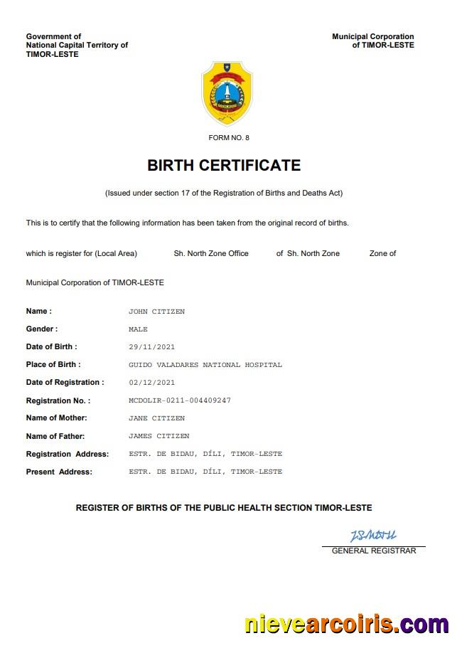 Professional Timor Leste Birth Certificate Word And PDF Template