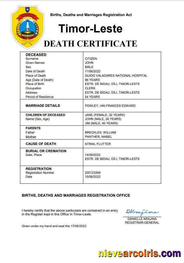 Realistic Timor Leste Vital Record Death Certificate Word And PDF Template