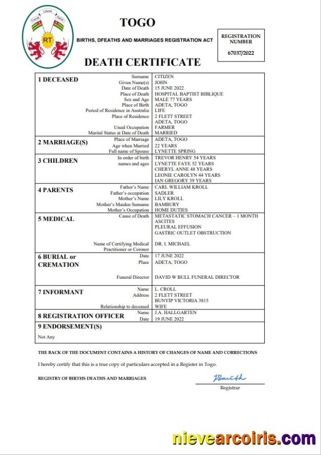 Professional Togo Vital Record Death Certificate Word And PDF Template