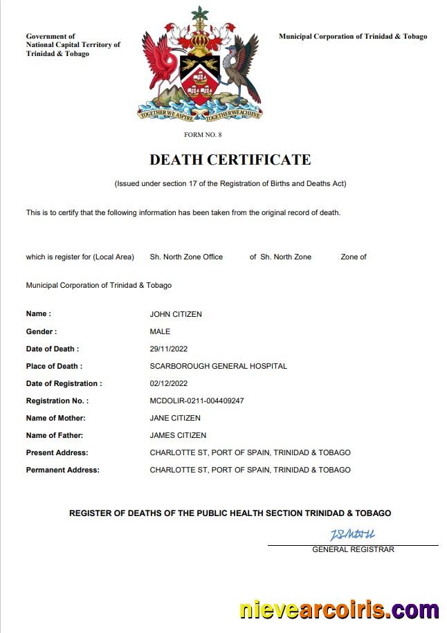 Realistic Trinidad And Tobago Death Certificate Word And PDF Template