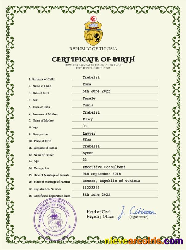 Professional Tunisia Vital Record Birth Certificate PSD Template