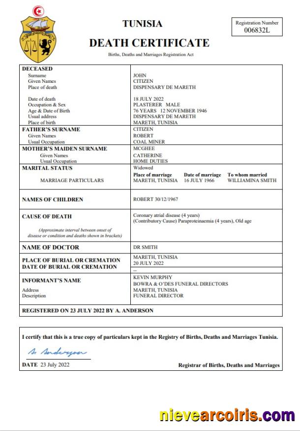 Professional Tunisia Vital Record Death Certificate Word And PDF Template
