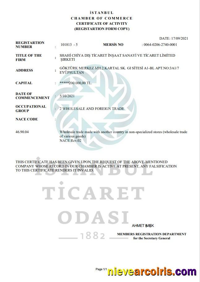 Professional Turkey Istanbul Certificate Of Activity Template In Word And PDF Format