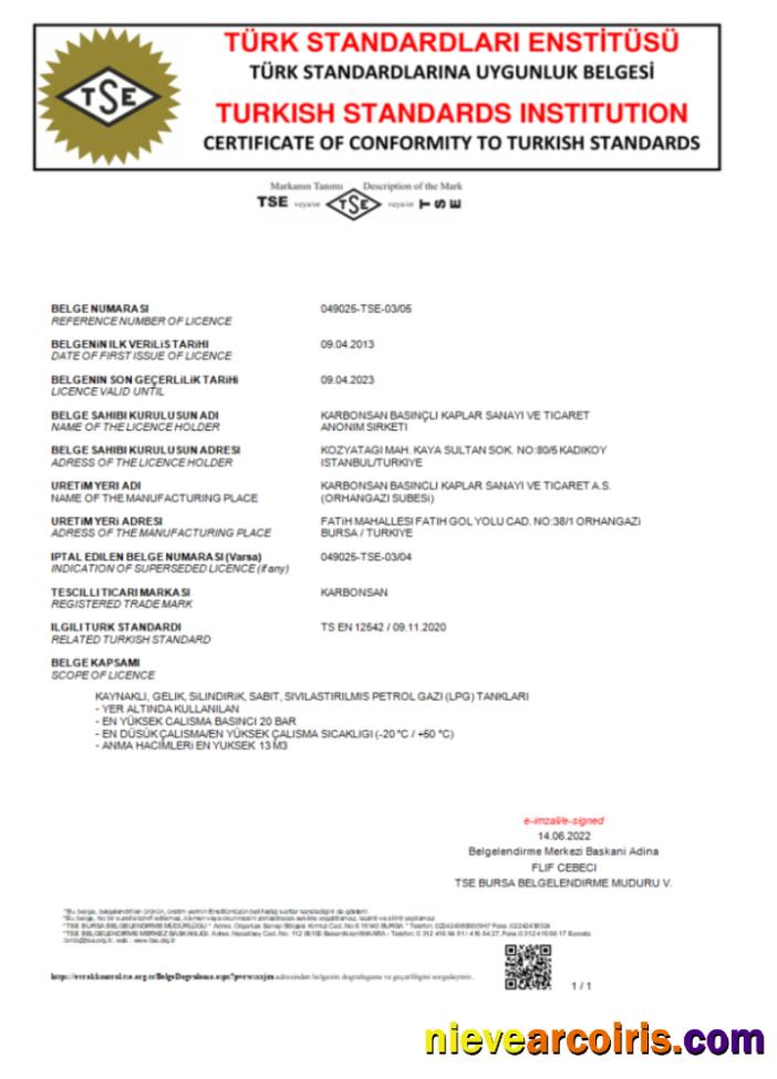 Professional Turkey Turkish Standard Institution Certificate Of Comformity To Turkish Standards Word And PDF Template Scr