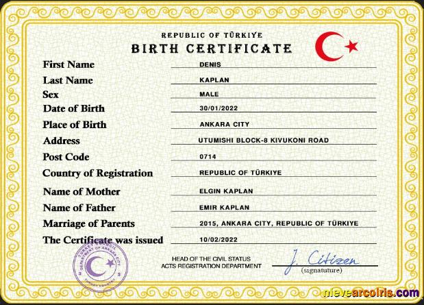 Premium Turkey Birth Certificate PSD Template