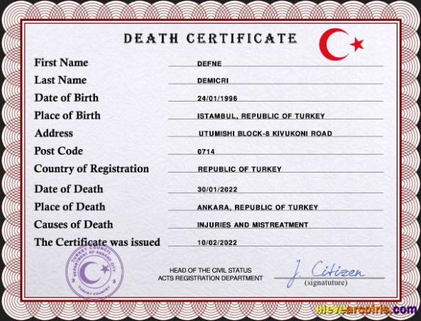 Professional Turkey Death Certificate PSD Template