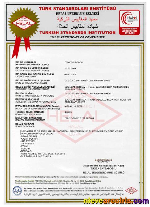 Turkish Standards Institution Certificate Sample