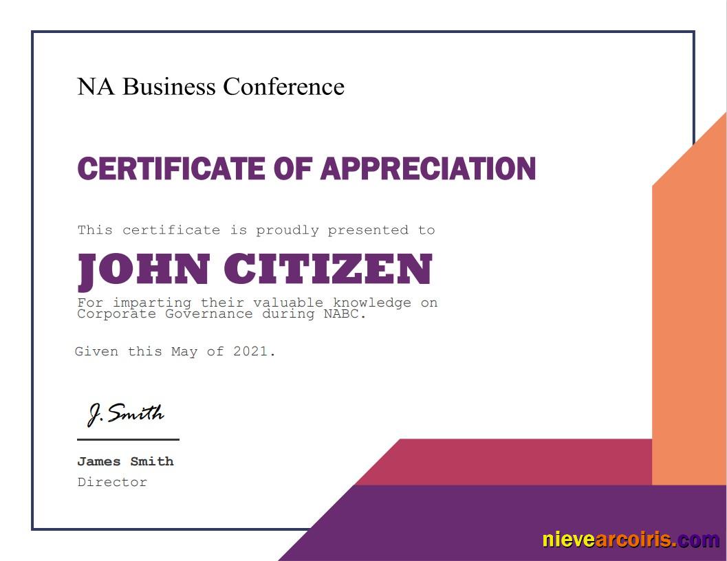 USA Appreciation Certificate Template