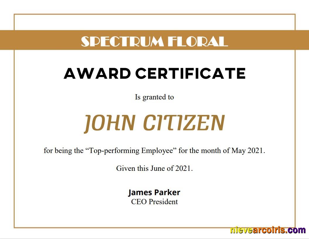 USA Award Certificate Preview