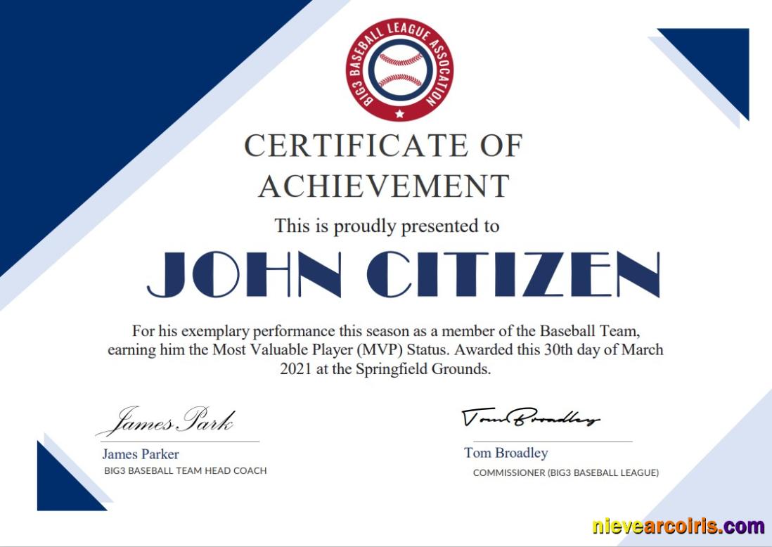 USA Basketball Participation Certificate Template