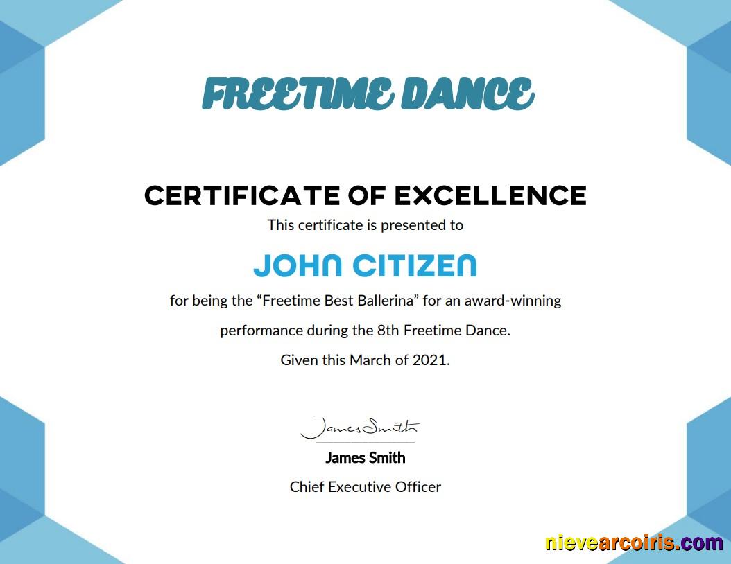 USA Best Performance Cert Template