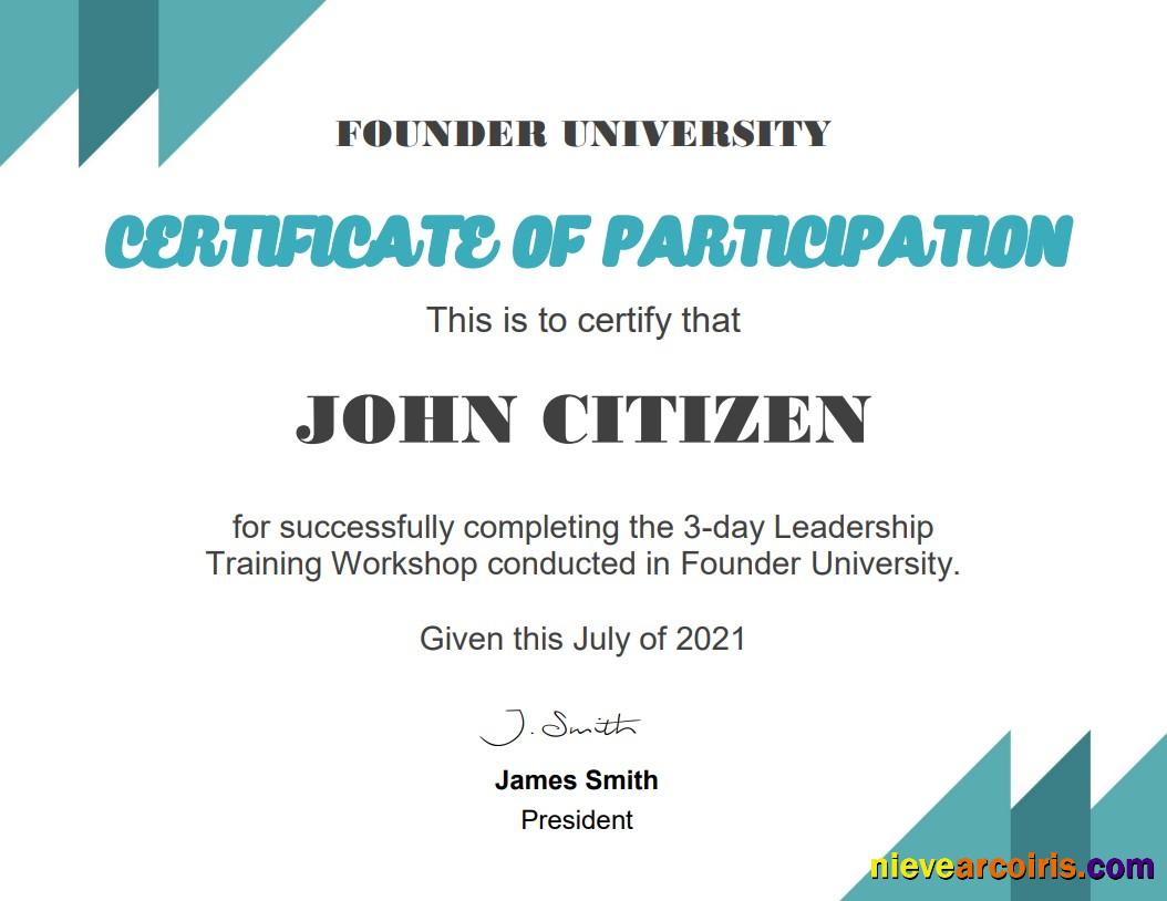 USA Business School Cert Sample