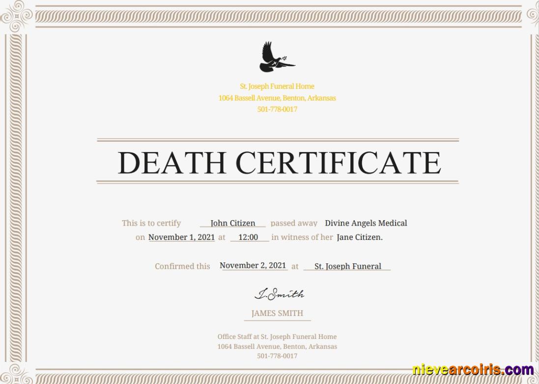 USA Certificate Of Death Preview