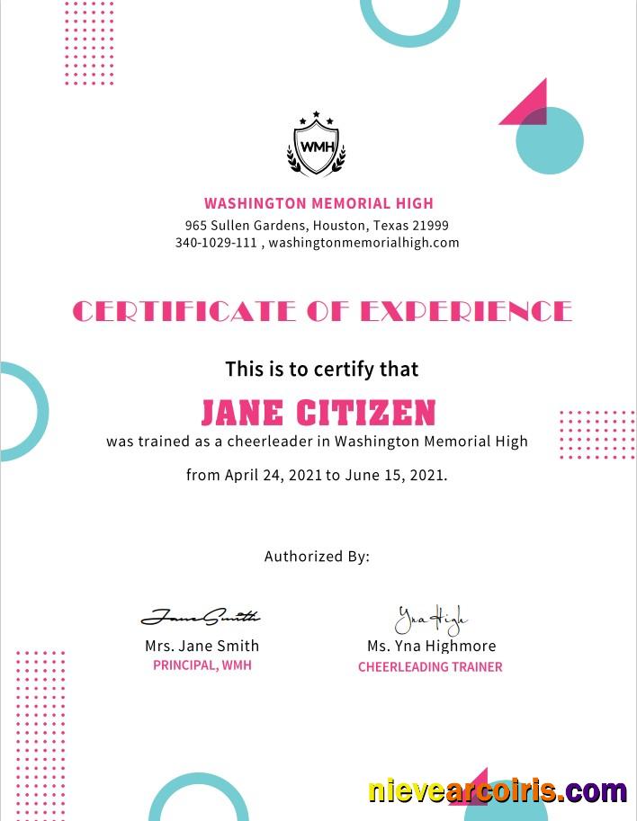 USA Cheerleader Cert Template