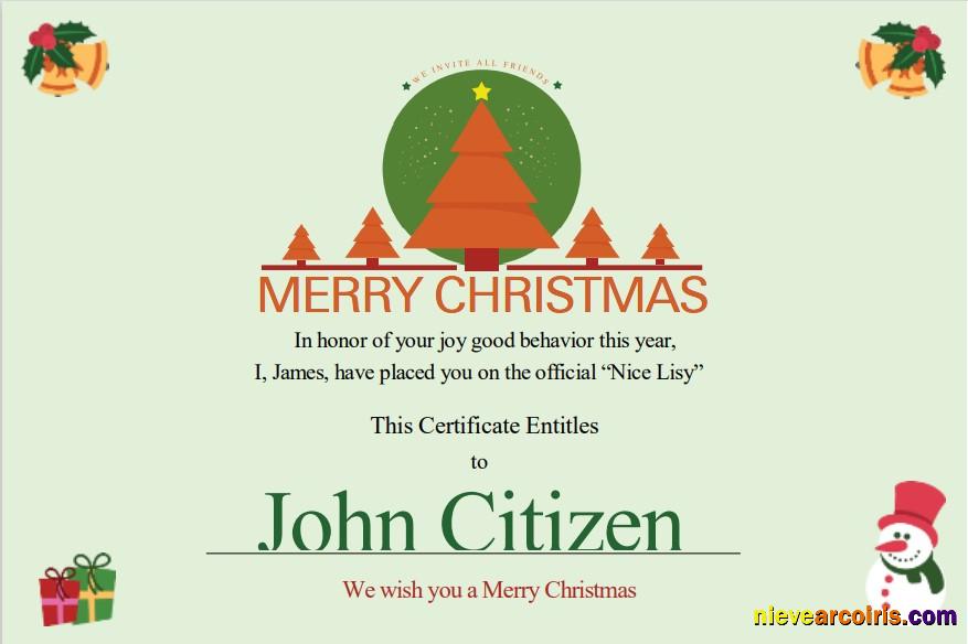 USA Christmas Gift Cert Photolook