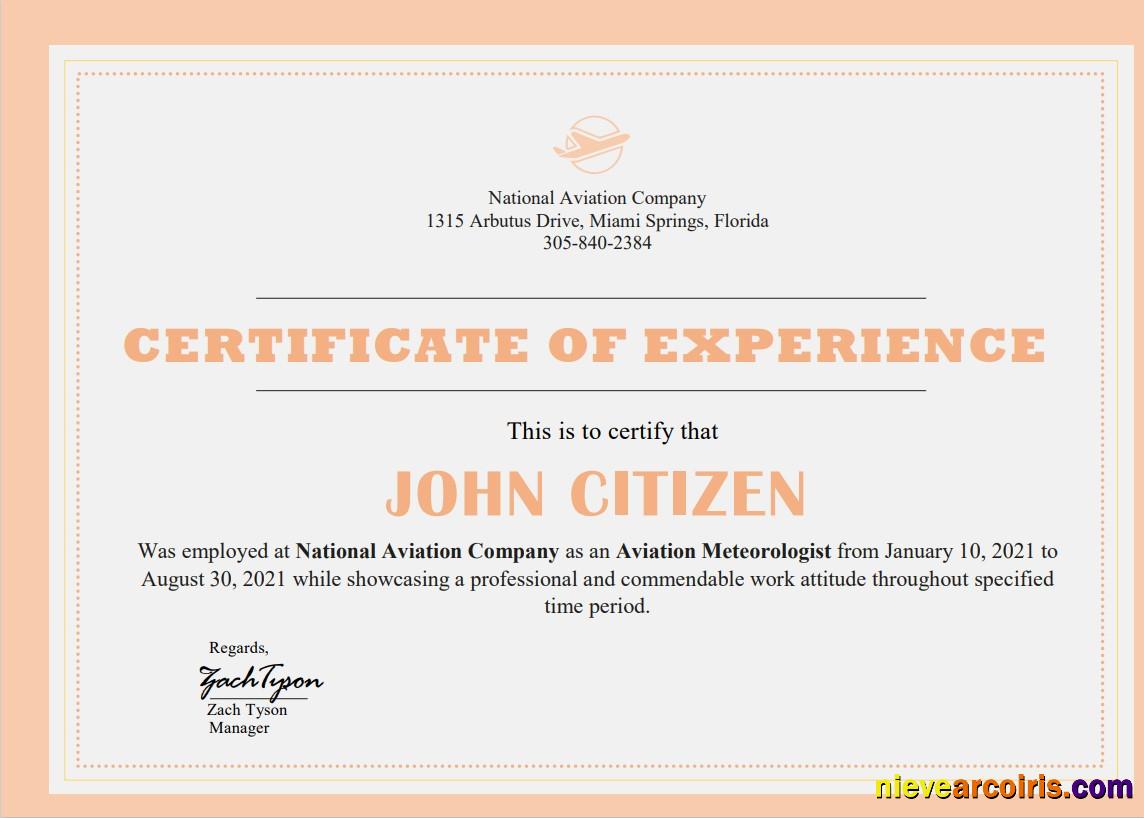 USA Company Experience Cert Preview