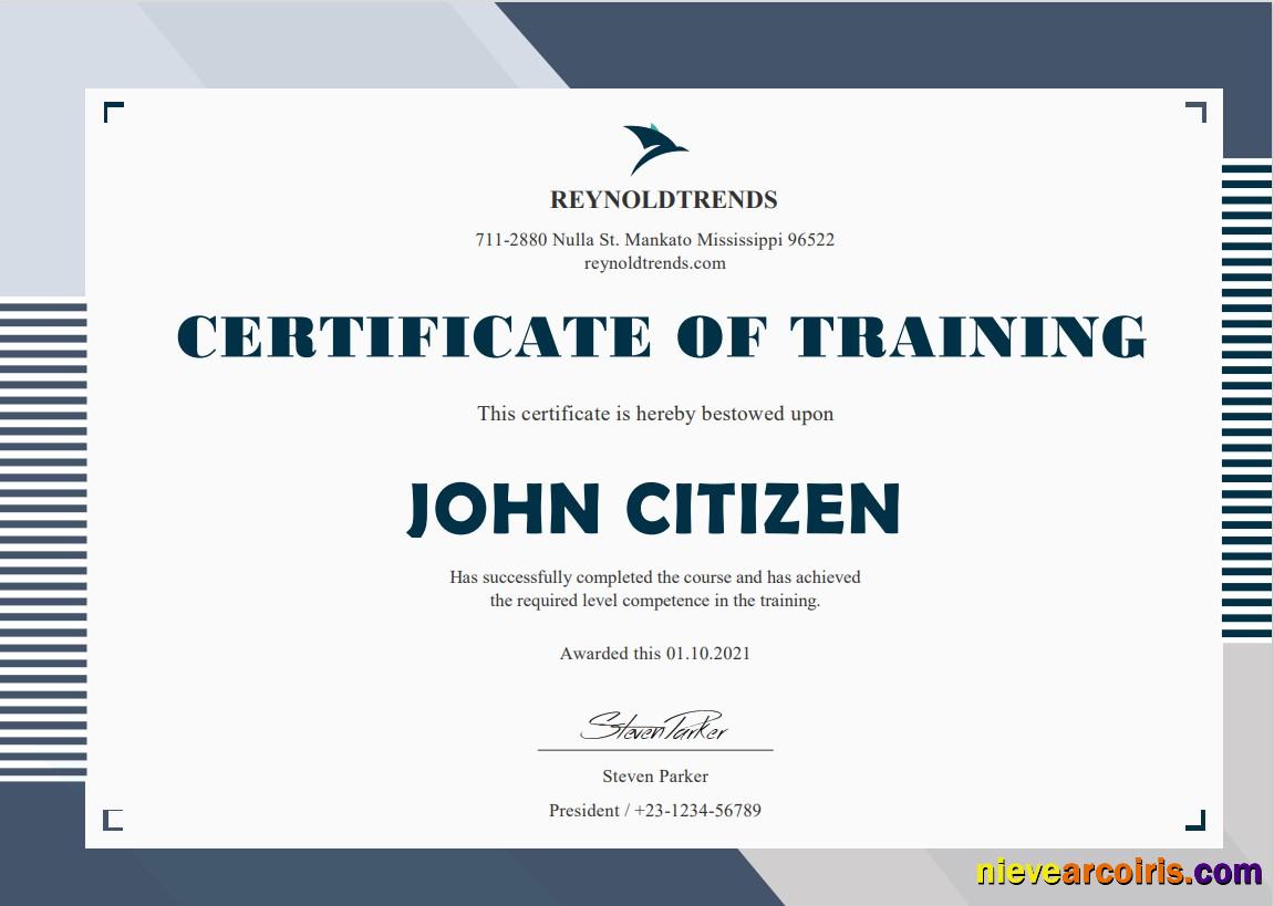 USA Company Training Cert Sample