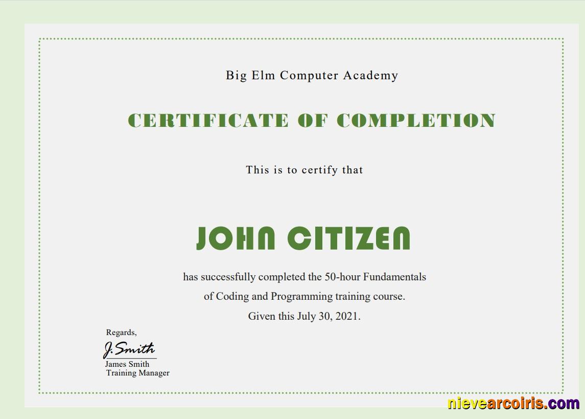 Professional USA Computer Training Certificate Template In Word And PDF Format