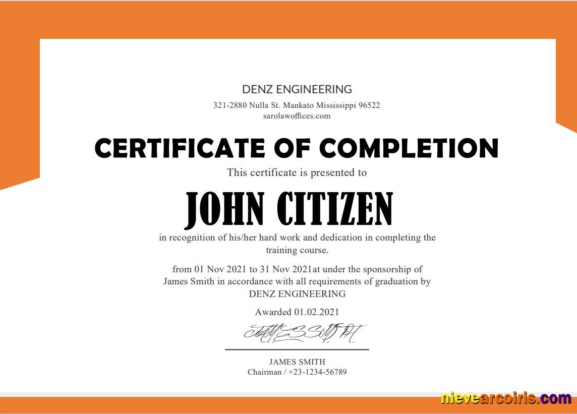 USA Denz Engineering Internship Cert Preview