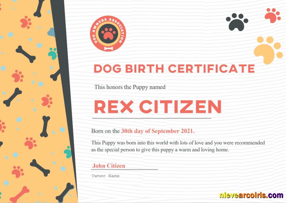 USA Dog Birth Cert Photolook