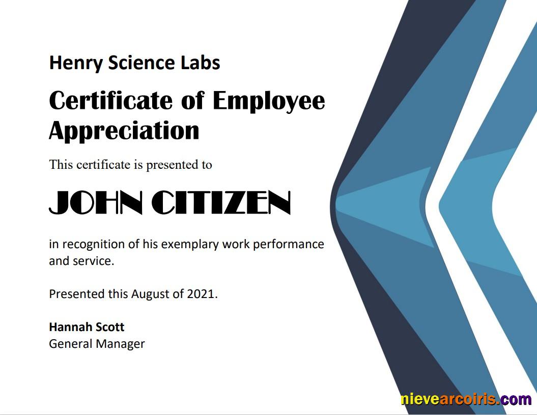 USA Employee Appreciation Cert Version 2 Photolook