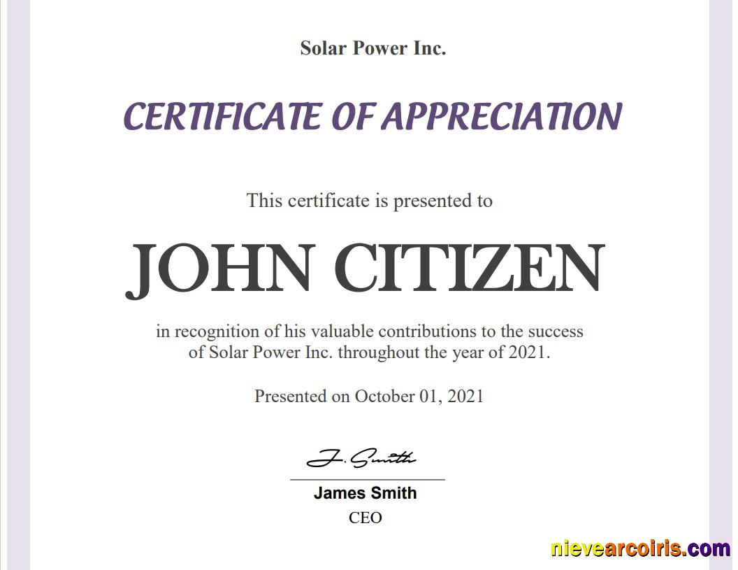 USA Employee Appreciation Cert Sample