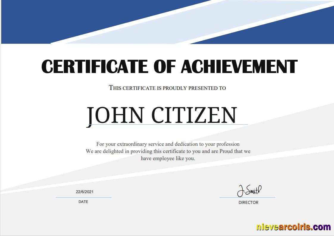 USA Employee Thank You Achievement Cert Photolook