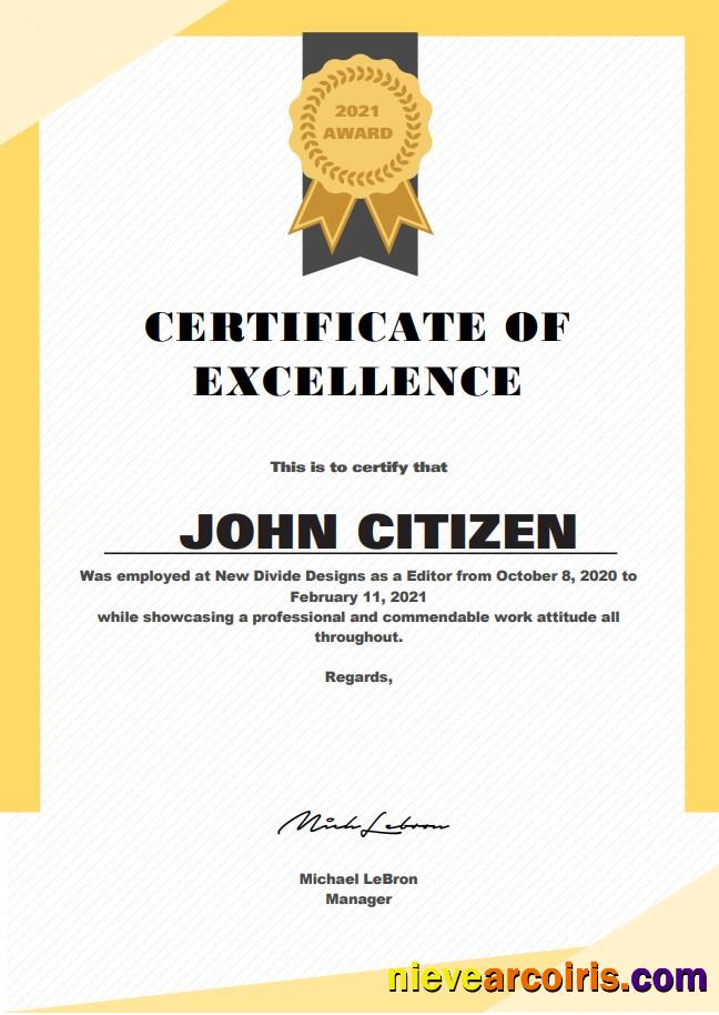 USA Excellence Cert Photolook
