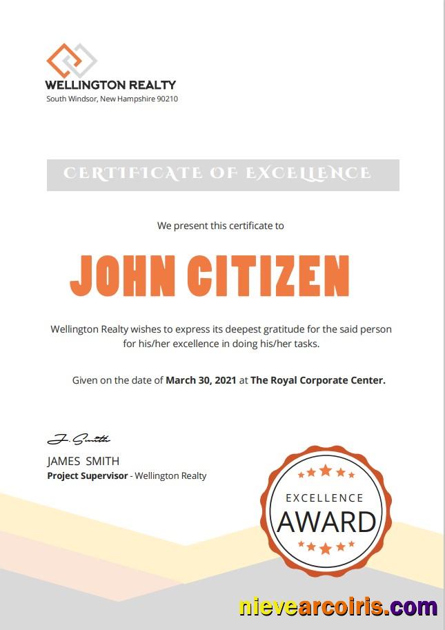 USA Excellence Cert Version 2 Template
