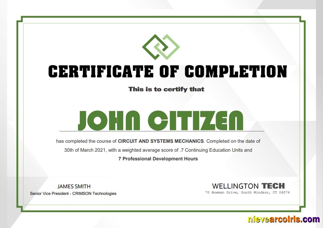 USA Experience Certificate Photolook