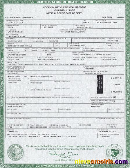 Professional USA Illinois State Death Certificate Template In PSD Format