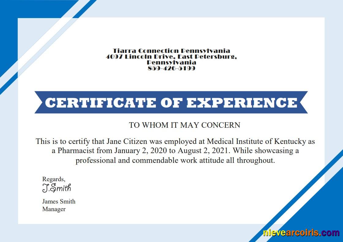 USA Job Experience Cert Version 2 Sample